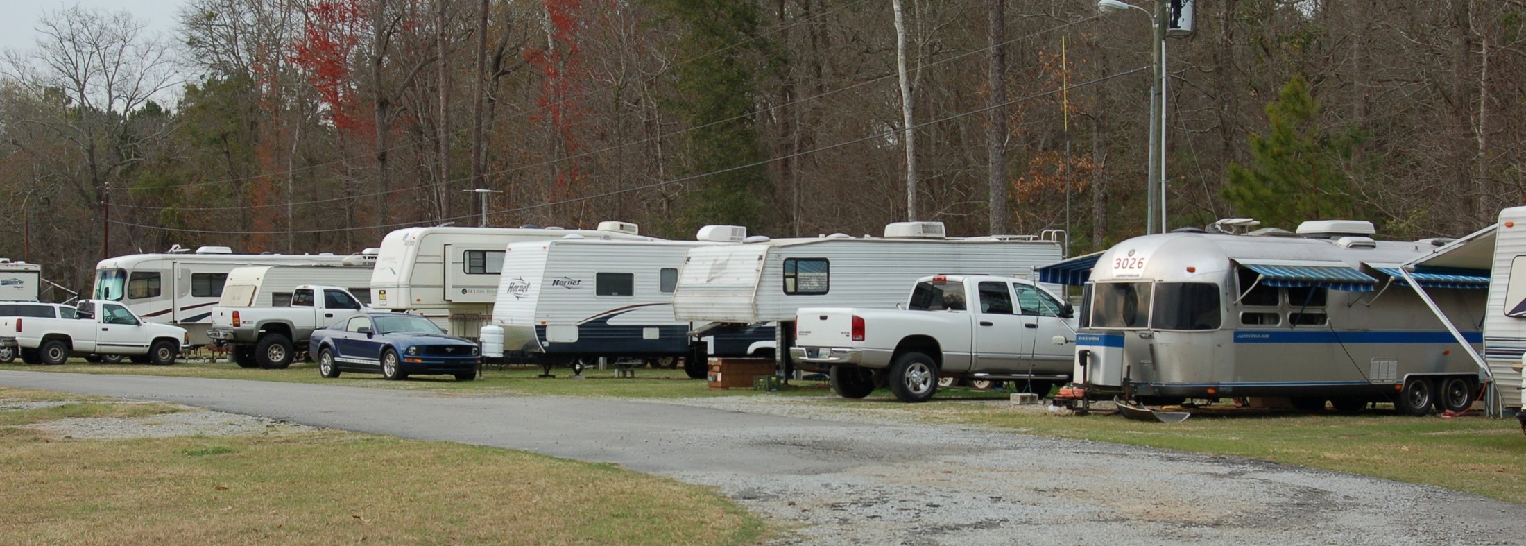 RV sites beside the mature tree line